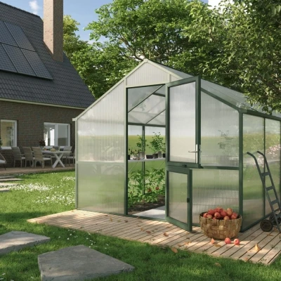 Greenhouse Nelke IV, fir green