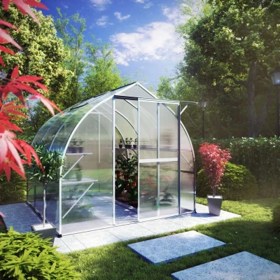 Greenhouse Rhodo III, blank Greenhouse Rhodo III, blank