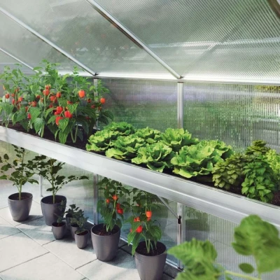 Plant tray Dahlie Typ IV Plant tray Dahlie Typ IV