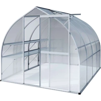 Greenhouse Rhodo IV, blank