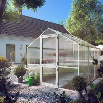 Greenhouse Rose III, blank