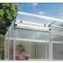 Greenhouse Linea II, blank