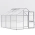 Greenhouse Nelke III, blank