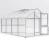 Greenhouse Nelke IV, blank