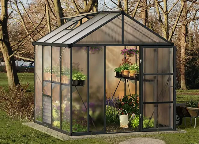 Greenhouse in rural garden